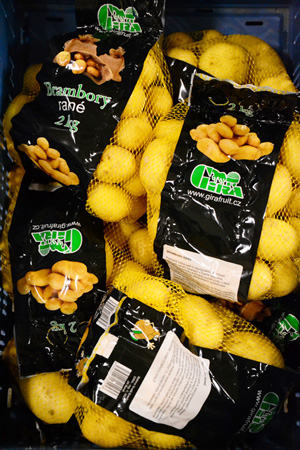 Brambory Na Uskladneni Jihlava (varného typu, odrůda varného, odrůda varného typu, skladování brambor) Brambory Na Uskladneni Jihlava